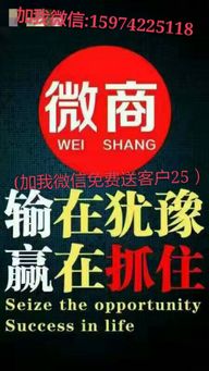 立白新品全能?chē)?代理熱潮背后的產(chǎn)品真相與市場(chǎng)機(jī)遇